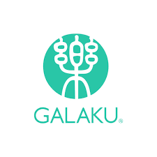 GALAKU - Budget-Friendly Vibrators with Surprising Power